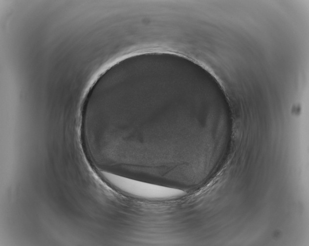 X0000097291508200803071721