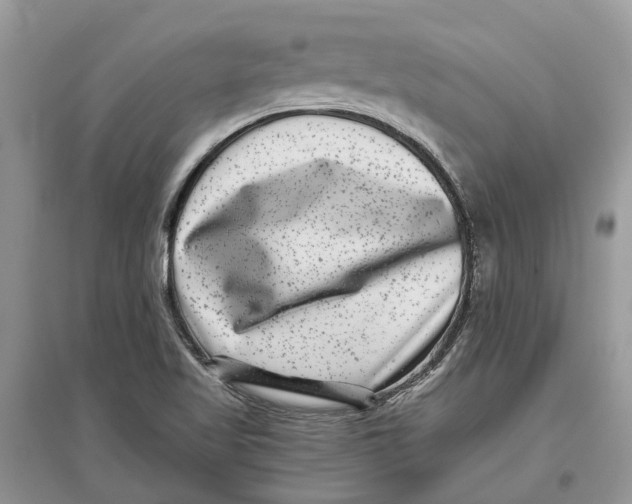 X0000097291509200803071721
