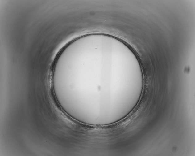 X0000097291510200803071721