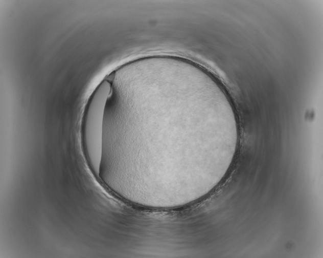 X0000097291512200803071721