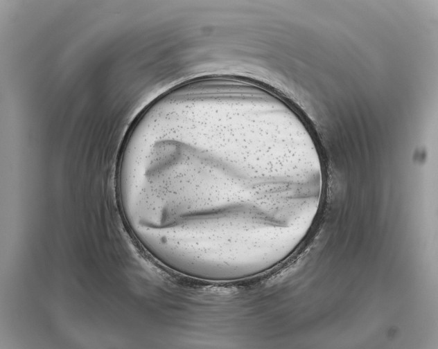 X0000097291513200803071721
