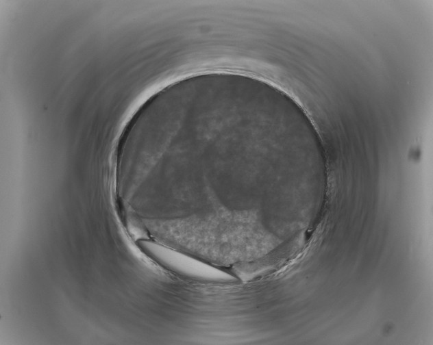 X0000097291515200803071721
