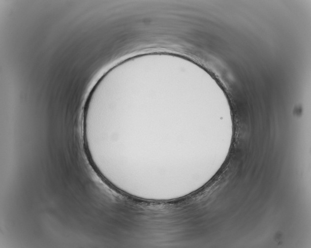 X0000097291516200803071721