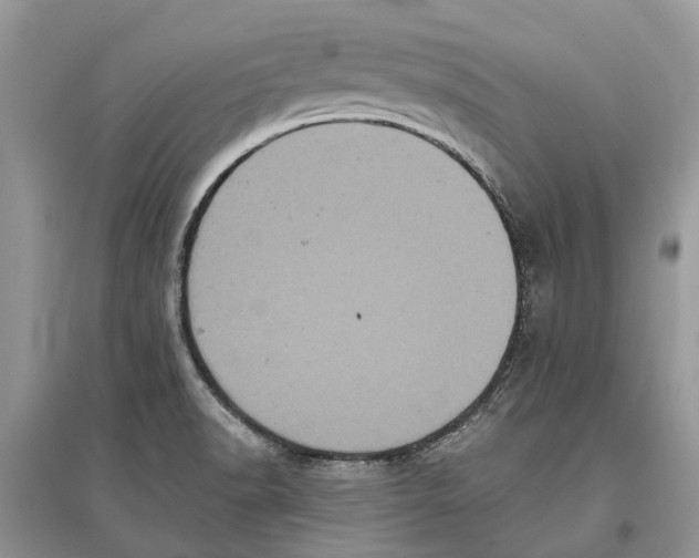 X0000097291518200803071721