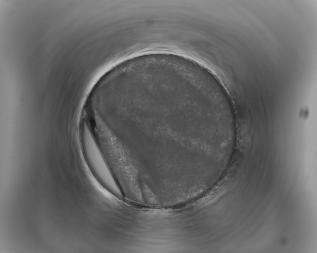 X0000097291519200803071721