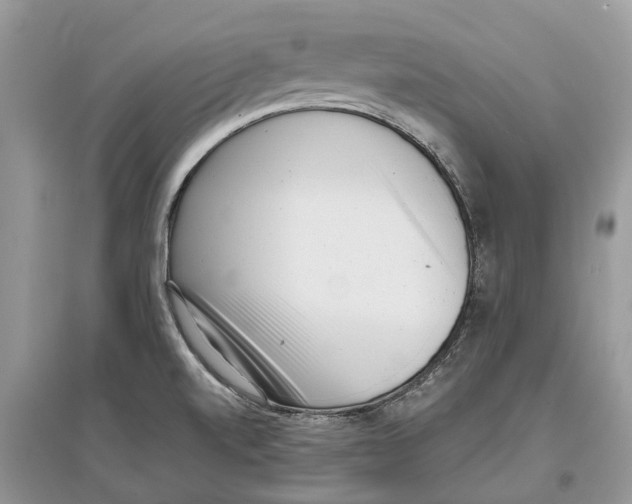 X0000097291520200803071721