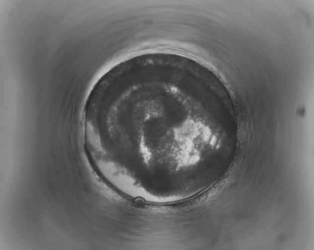 X0000097291522200803071721