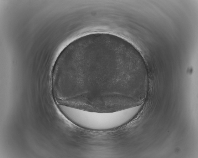 X0000097291527200803071721