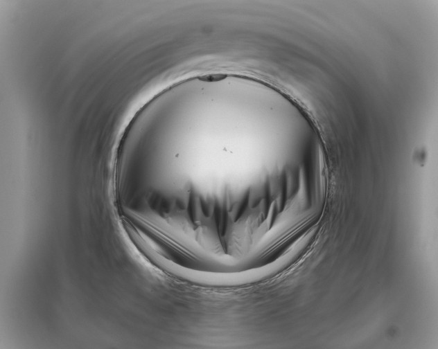 X0000097291528200803071721