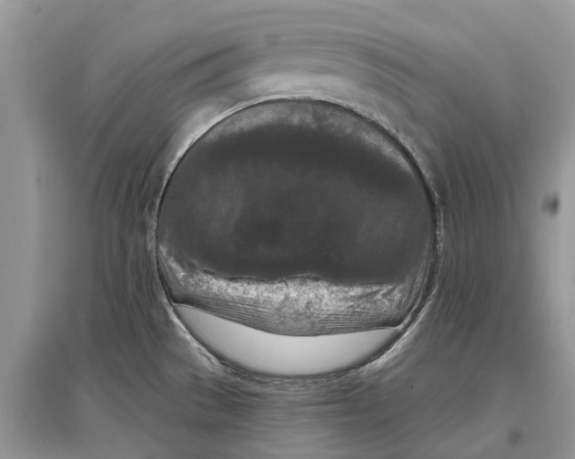 X0000097291529200803071721