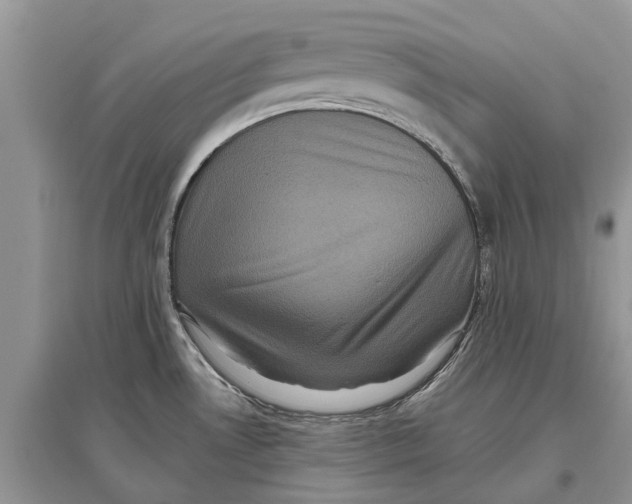X0000097291530200803071721
