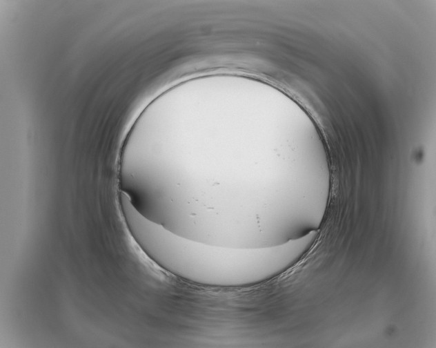 X0000097291532200803071721