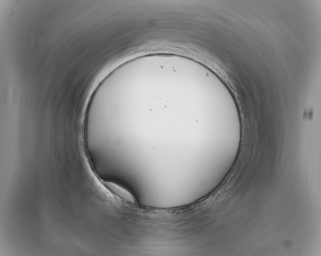X0000097291536200803071721
