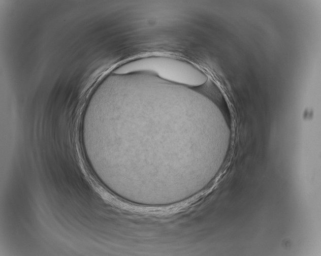 X0000097290001200803141521