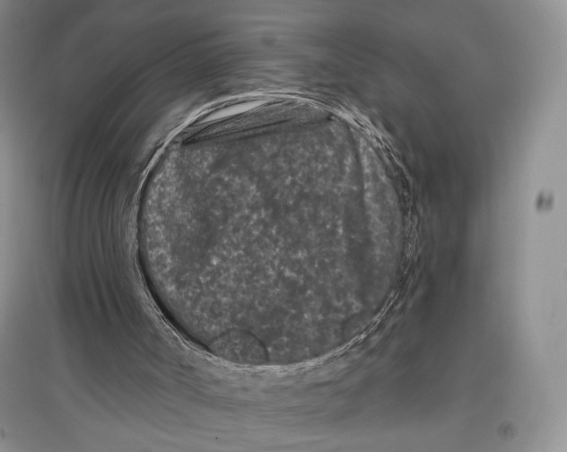 X0000097290002200803141521