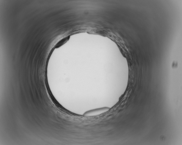 X0000097290003200803141521