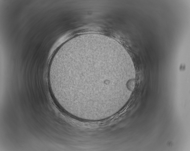 X0000097290004200803141521