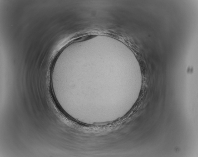 X0000097290005200803141520