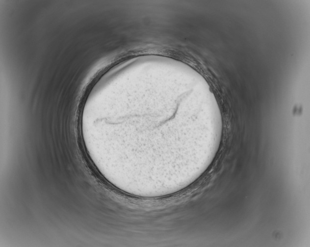 X0000097290006200803141520
