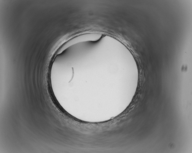 X0000097290007200803141520