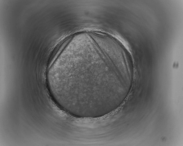 X0000097290009200803141520