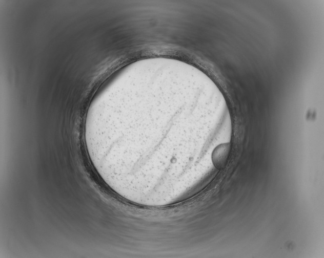 X0000097290010200803141520