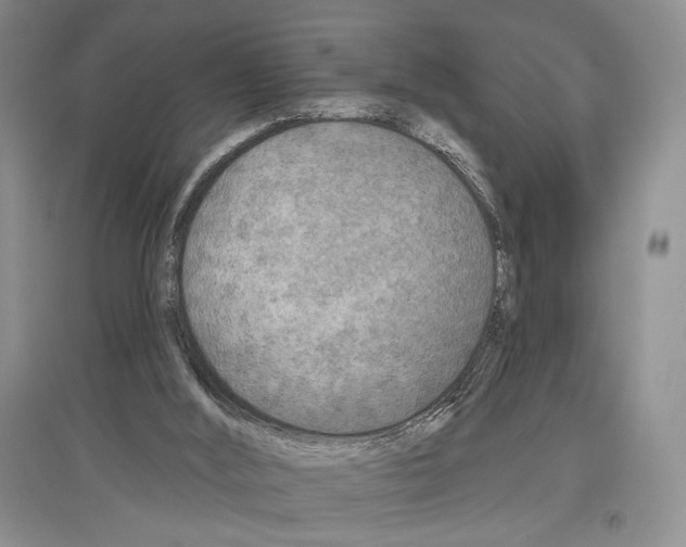 X0000097290012200803141520