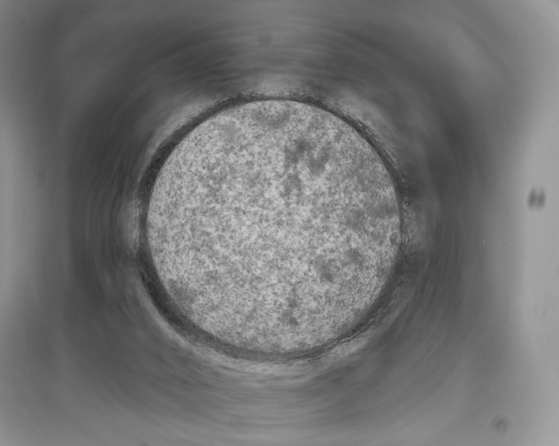 X0000097290016200803141520