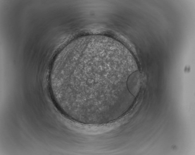 X0000097290018200803141520