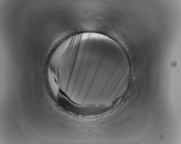 X0000097290019200803141520