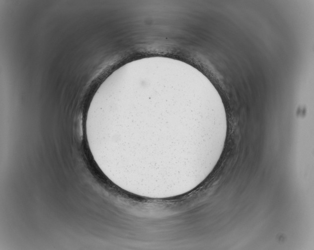 X0000097290020200803141520