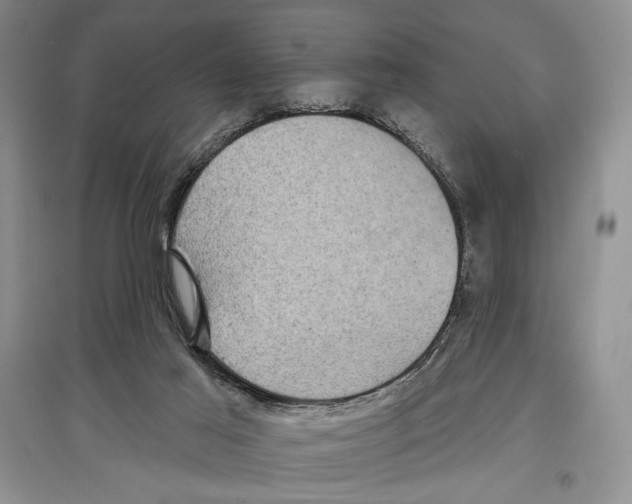 X0000097290021200803141520