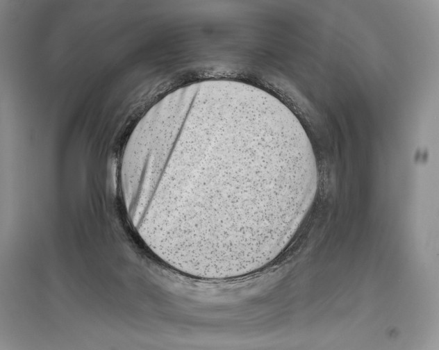 X0000097290022200803141520