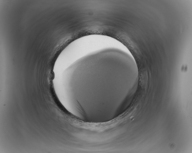 X0000097290023200803141520