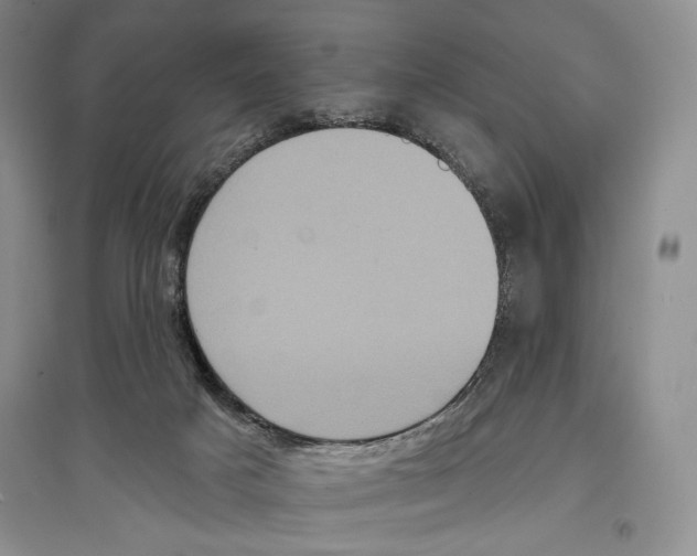 X0000097290025200803141520