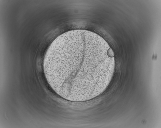 X0000097290026200803141520