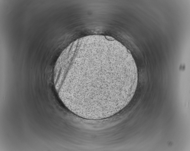 X0000097290030200803141520