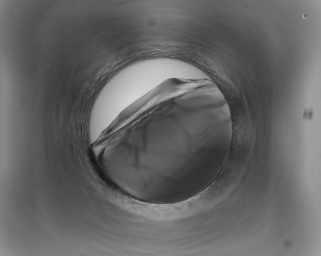 X0000097290031200803141520
