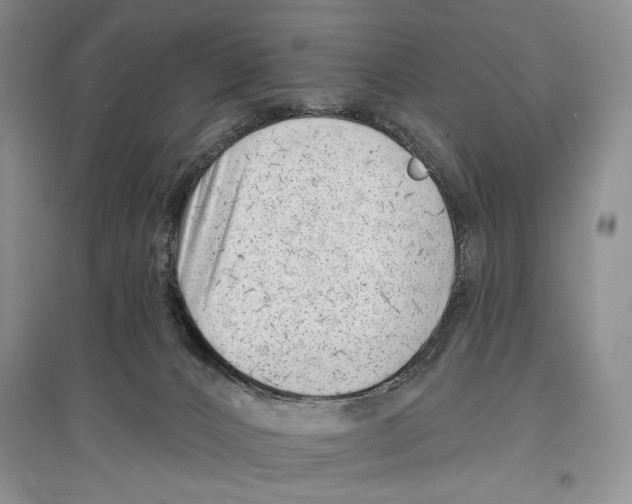 X0000097290032200803141520