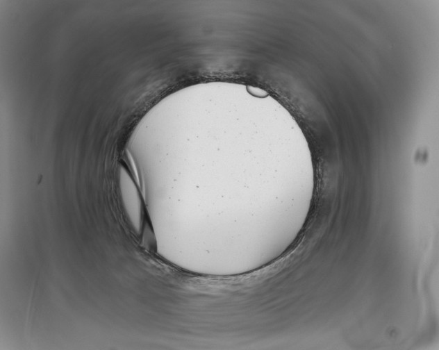 X0000097290033200803141520