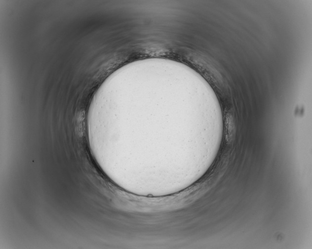 X0000097290034200803141520
