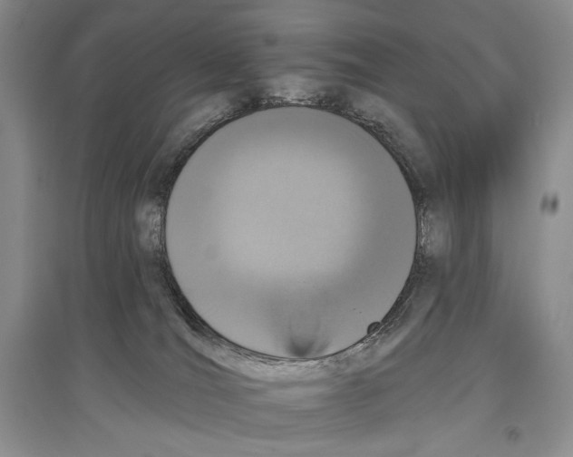 X0000097290036200803141520