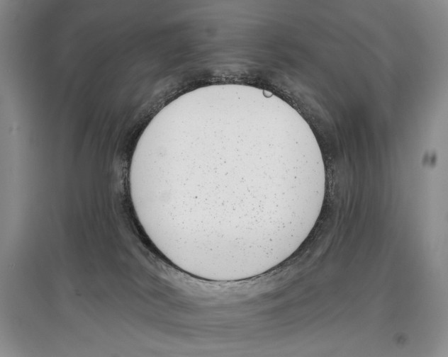 X0000097290038200803141520