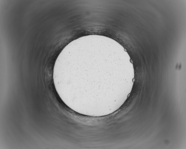 X0000097290040200803141520