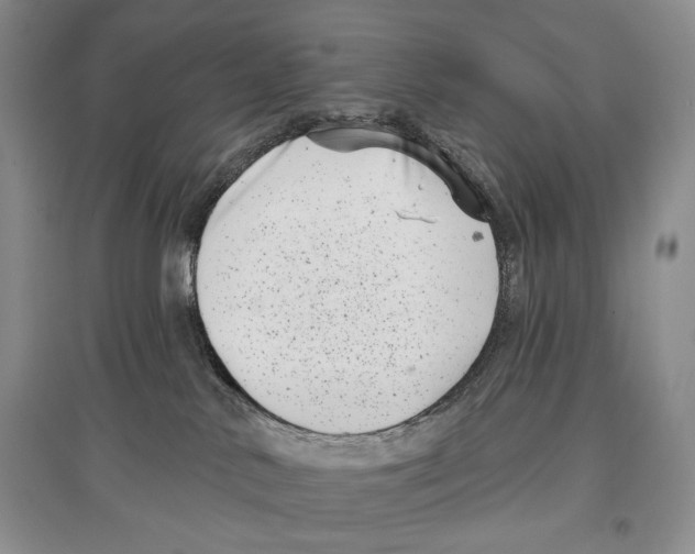 X0000097290042200803141520