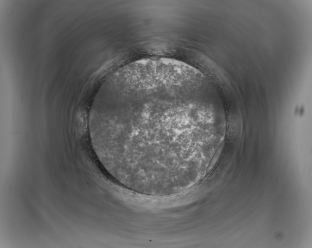 X0000097290043200803141520