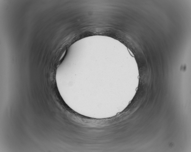 X0000097290044200803141520