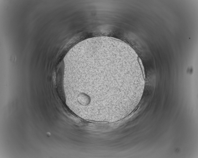 X0000097290045200803141520