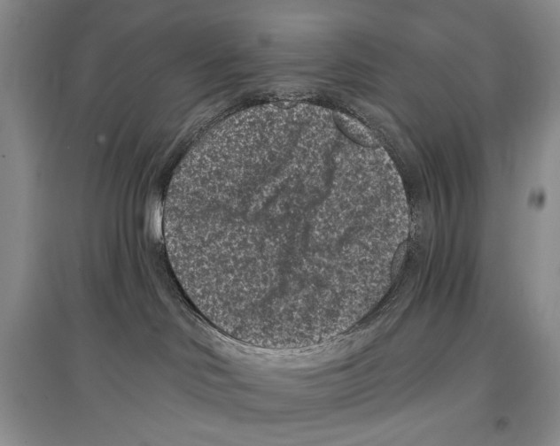 X0000097290046200803141520