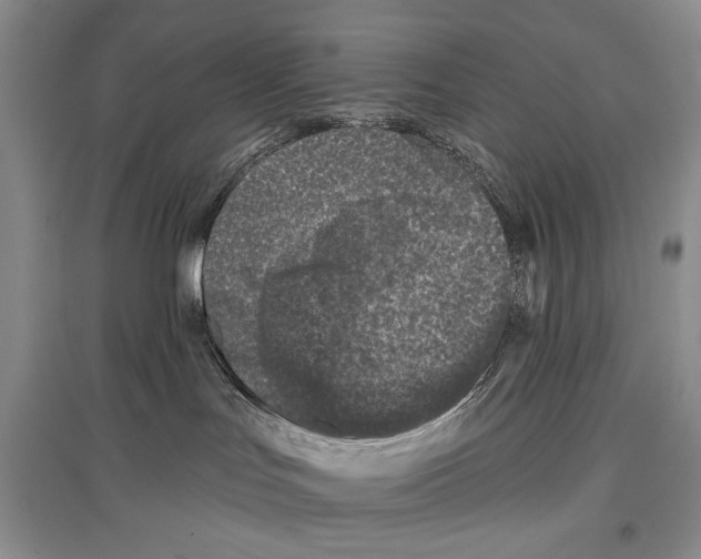X0000097290047200803141520